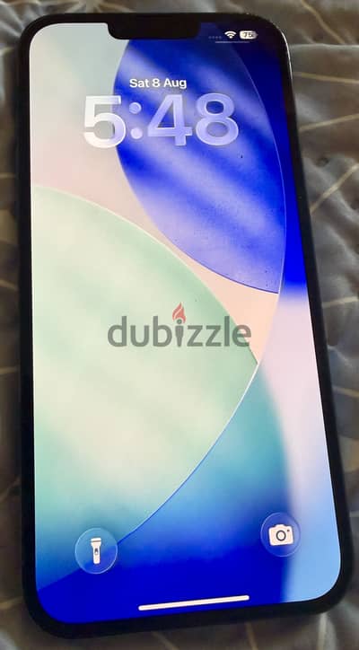 Apple - iPhone 13 Pro Max