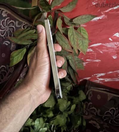 آبل - آيفون 12 برو ماكس