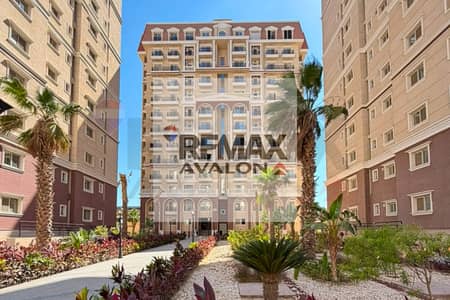 Apartment for rent 175 m (Suwari)