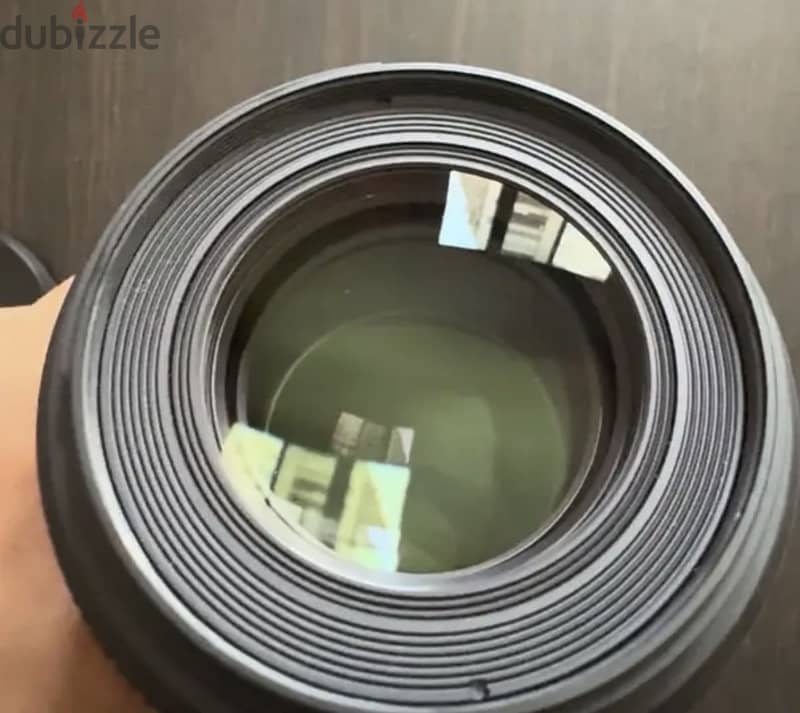 Sigma 105mm macro lense 3