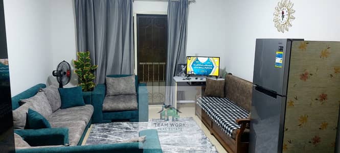 شقة مفروشة للإيجار في حي المستقبل – الشيخ زايد - Furnished Apartment for Rent in Mostakbal District – Sheikh Zaye