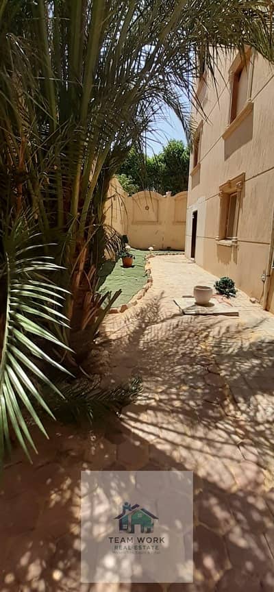 شقة للايجار الفاضي في الحي التاسع – الشيخ زايد- Apartment for rent in the 9th District – Sheikh Zayed