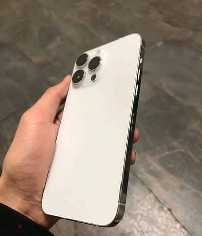 ٠١٠iPhone 13 pro max