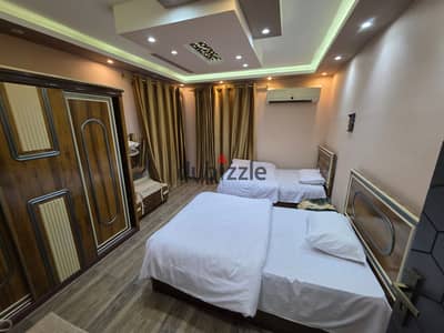 Furnished, air-conditioned hotel-style apartment next to City Stars, available for daily and monthly rent for families. Excellent location in Nasr Cit