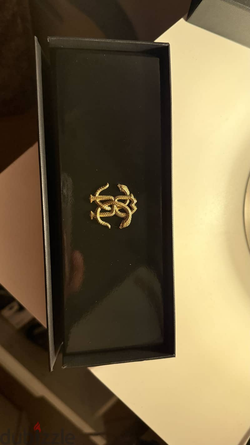 Roberto Cavalli Franck Muller Pen 2
