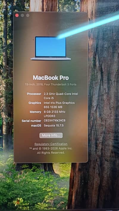 Apple macbook pro 2018 13 inch