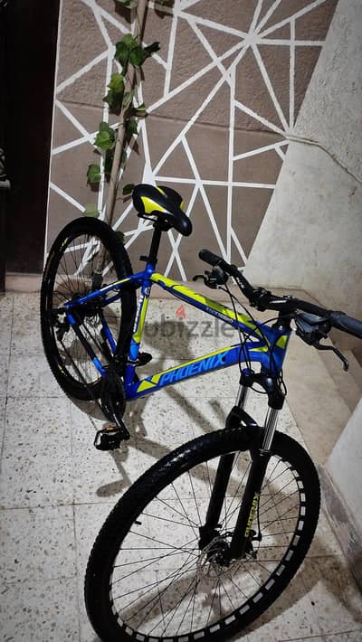 phoenix 2905HD