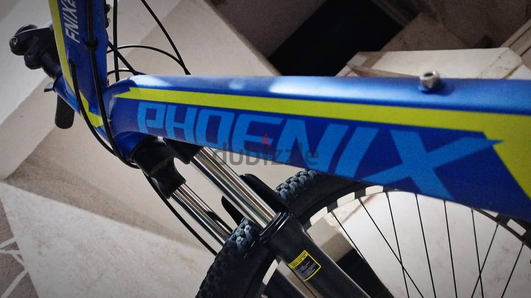 phoenix 2905HD 1