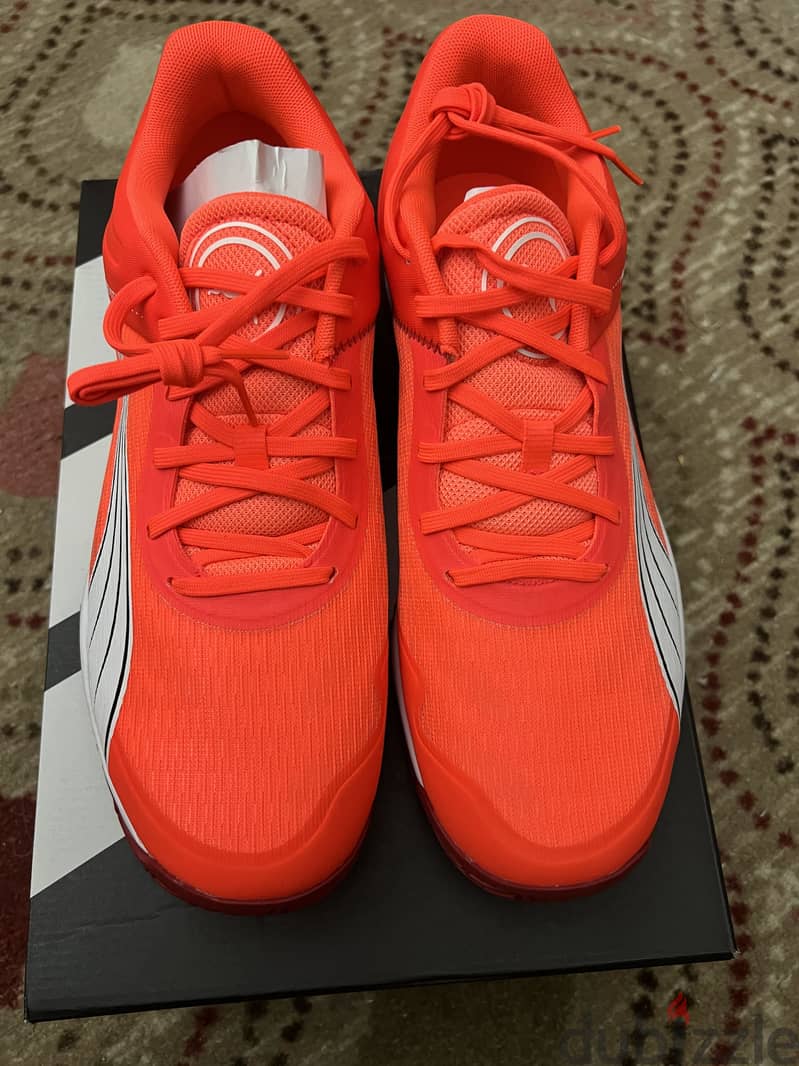 Badel & handball shoes 2