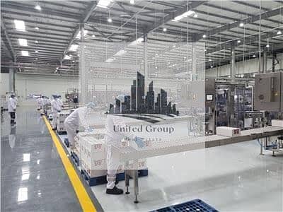 Factory for rent 4000 in Badr City with a license and a food activity record