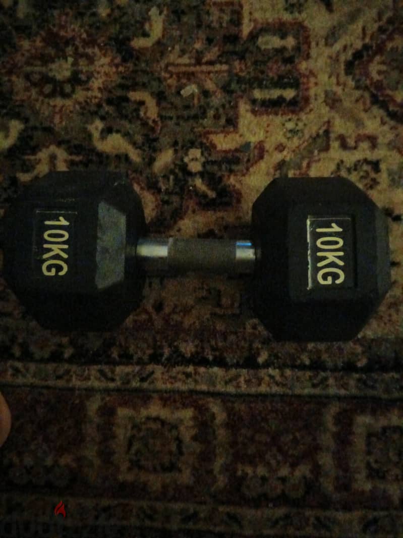dumbbell 10 kilos 1