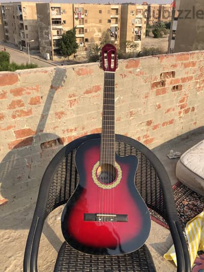 Ash guitar