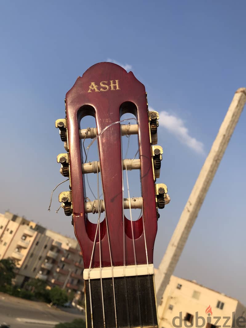 Ash guitar 4
