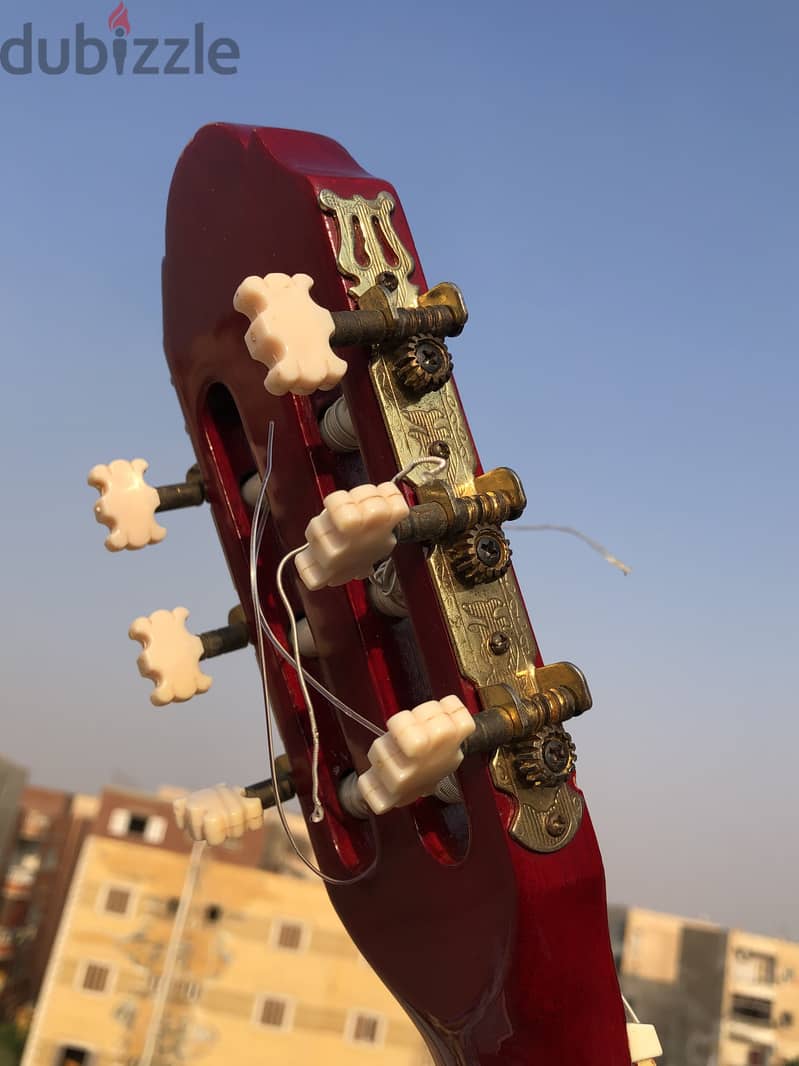 Ash guitar 5