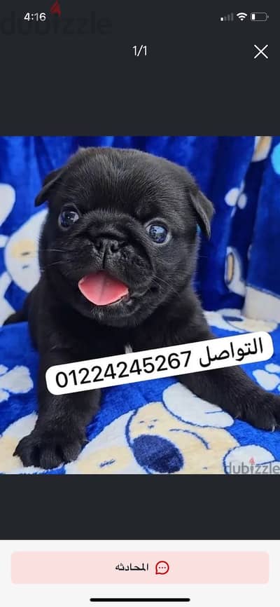 Black pu