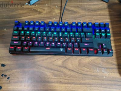 t-dagger bora
