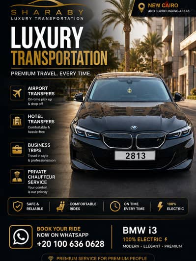 Luxury Private Electric Car