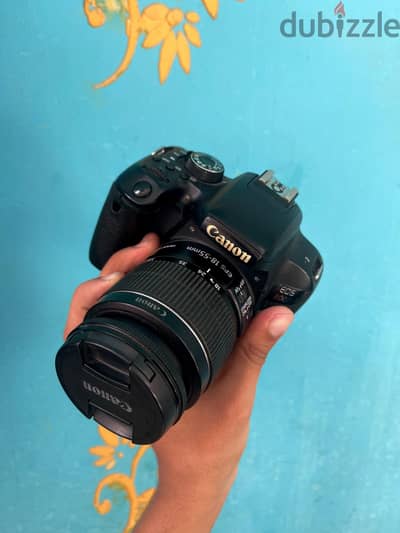 Canon 800 + sigma 10-20