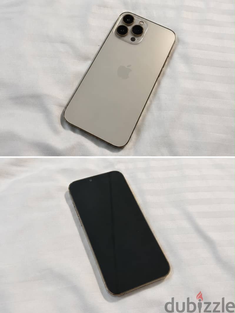 Apple - iPhone 13 Pro Max 1