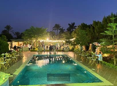 Luxury Palace for Sale in Mansouria, Cairo – Behind Smart Village | 2,100 sqm | Private Pool & Huge Garden |