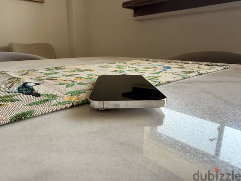 Apple iPhone 14 Pro Max 256 GB Silver - ايفون 14 برو ماكس فضي 9
