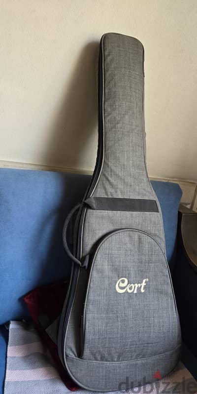 Electric Guitar padded case