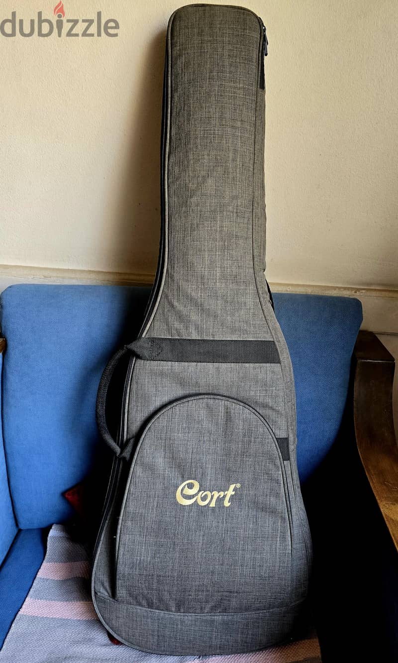 Electric Guitar padded case 1
