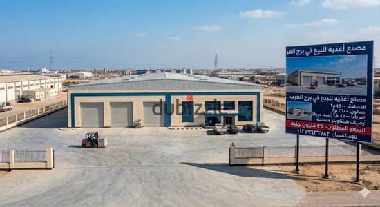 الإسكندرية برج العرب