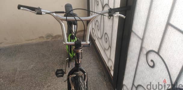 rodix