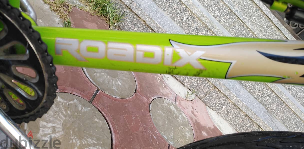 rodix 8