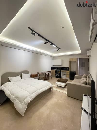 Premium Landscaped Apartment | Fully Furnished & AC's | Daily & Monthly Rental in ZED Towers, Sheikh Zayed