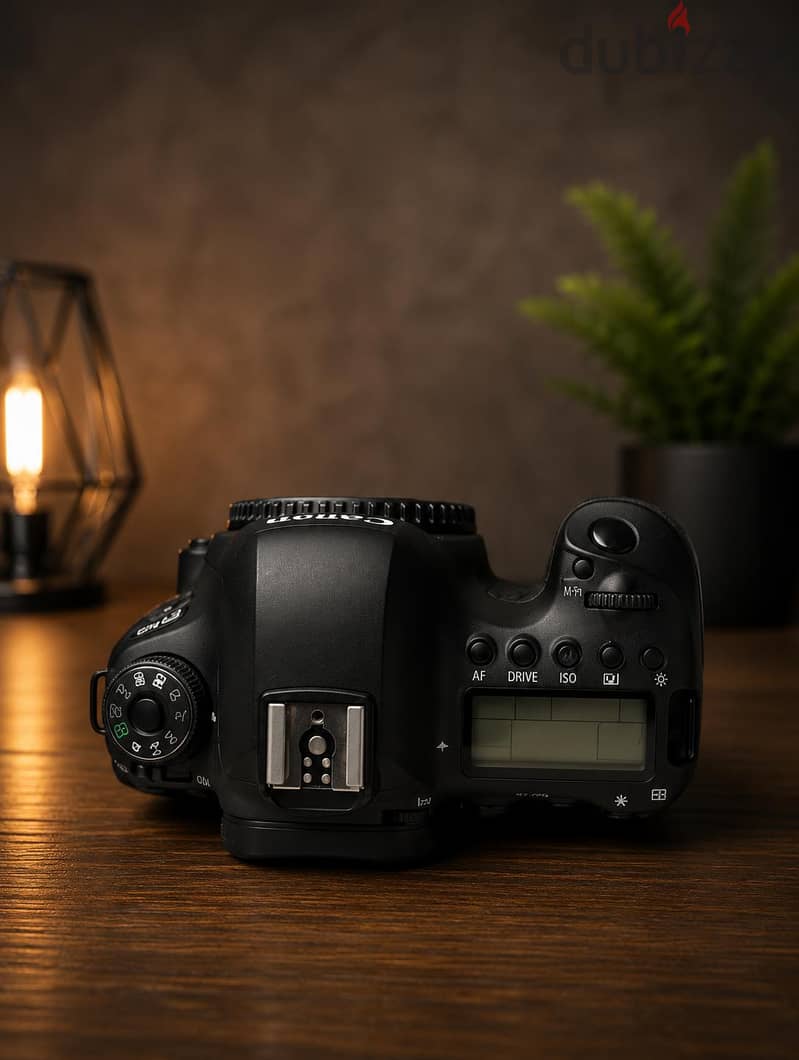 Canon 6D Mark II 2