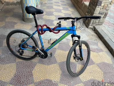 Silverback Stride 20 (Mountain Bike) 8 speeds Size 26