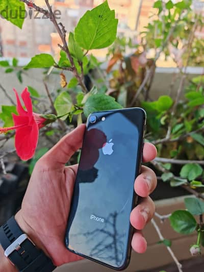 iPhone 8 (للبيع - بحالة ممتازة وكفاءة عالية)