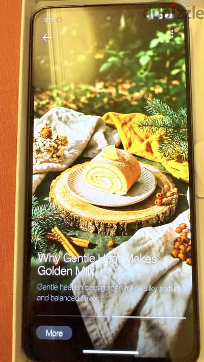 OPPO Reno13 F