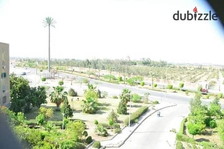 شقتين فى الشيخ زايد فى الحى الاول مجاورة 2 بsheikh zayed