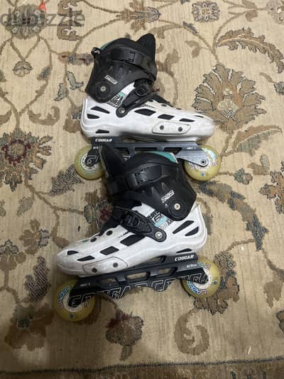 Skate couger 509