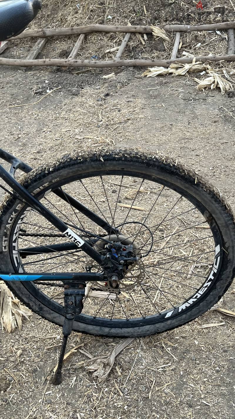Trinx m136 2
