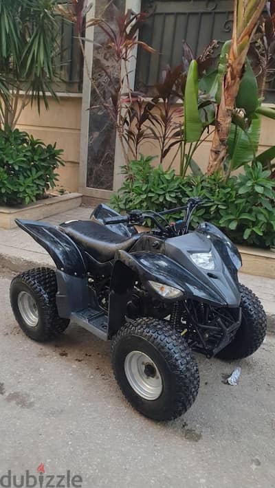 بيتش باجي Adly