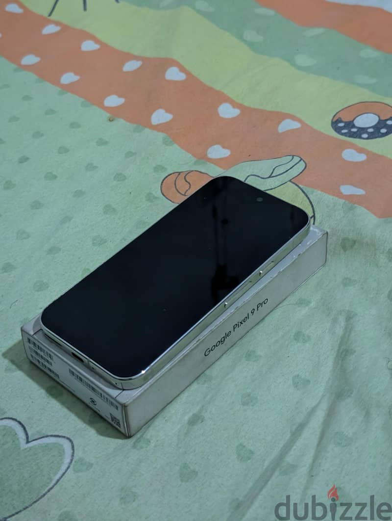Google Pixel 9 Pro 1
