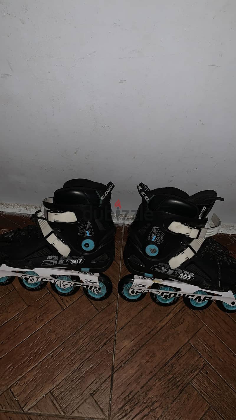 Gogar 307 3