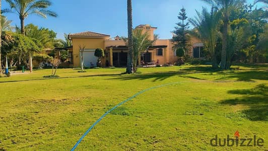 Villa for daily and short-term rental near Sphinx Airport