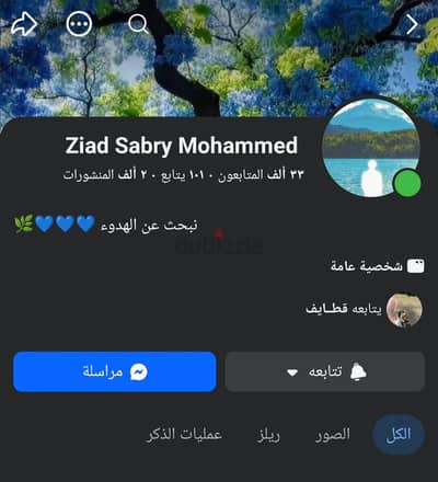 صفحة فيسبوك