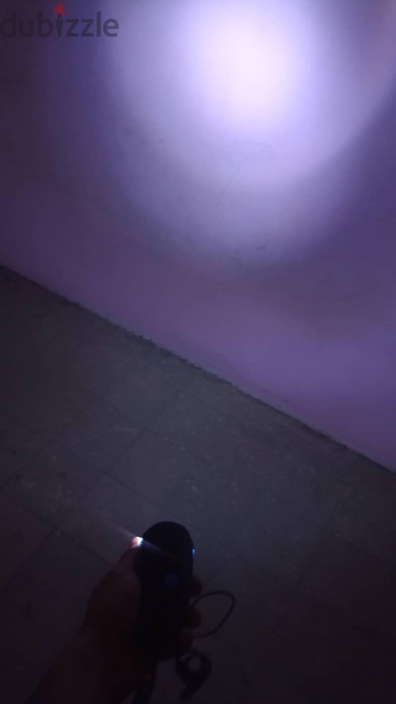 Flashlight and a horn 1