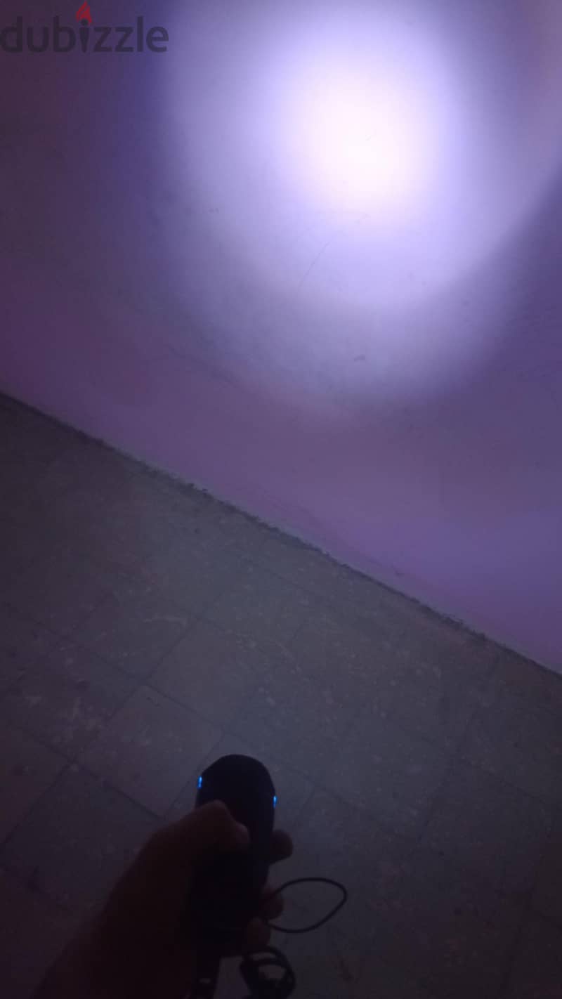 Flashlight and a horn 2