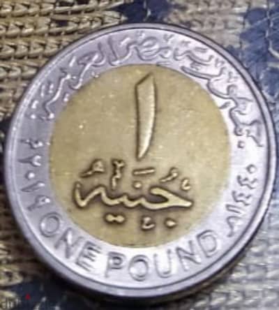 جنيه ٢٠١٩ خطأ سك