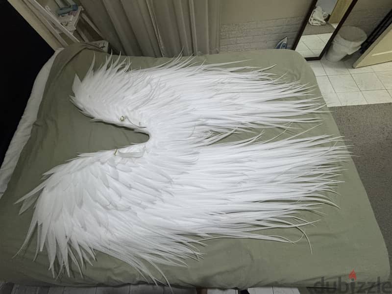 أجنحة الملاك   Angel wings 2