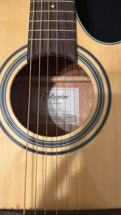 Takamine guitar g series