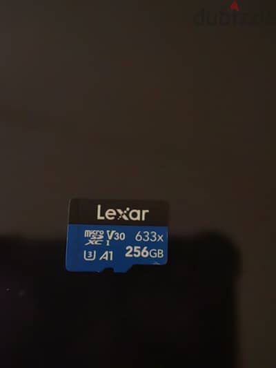 Lexar 256GB