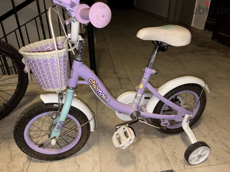 Chipmunk girls bicycle 1